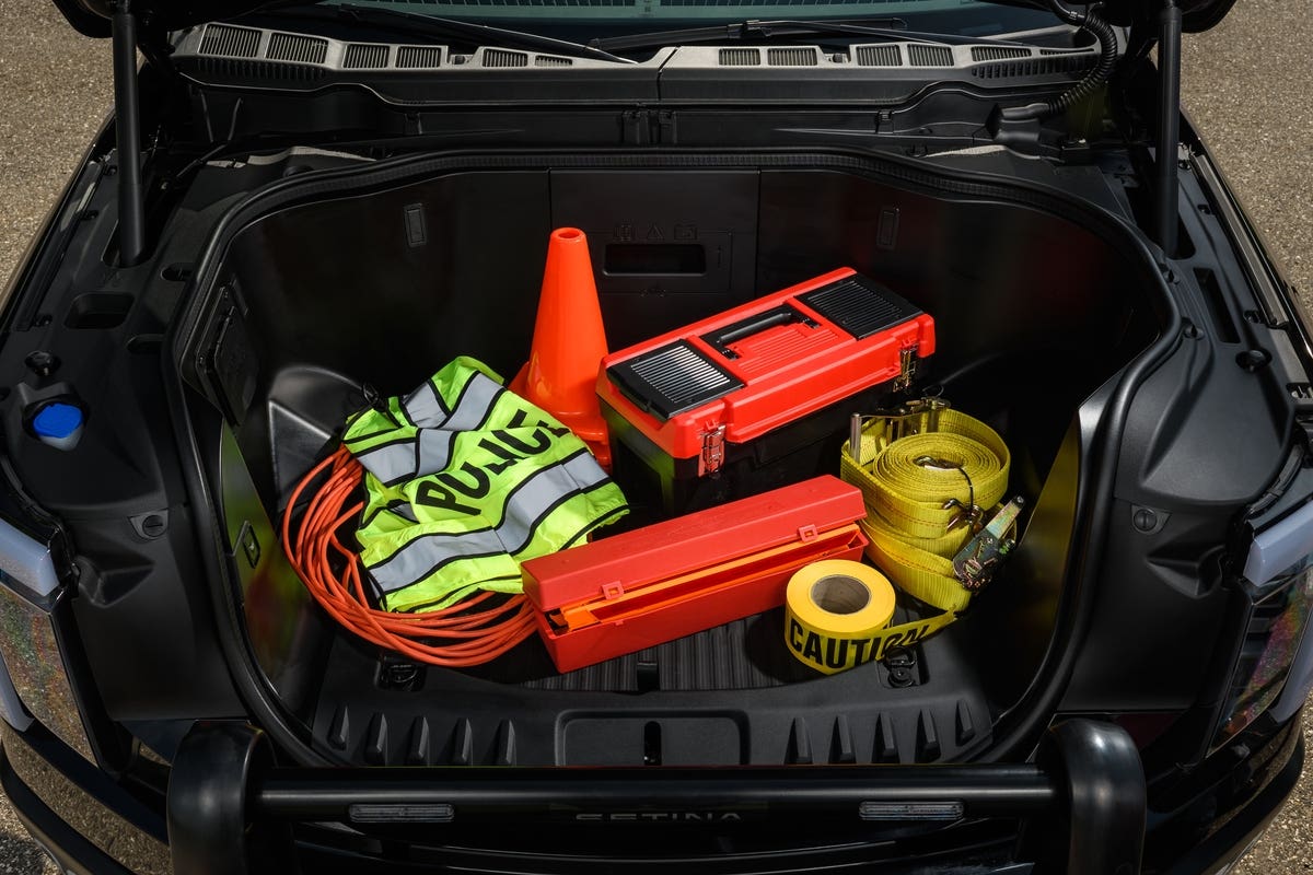 Ford F-150 Lightning Pro SSV 2023