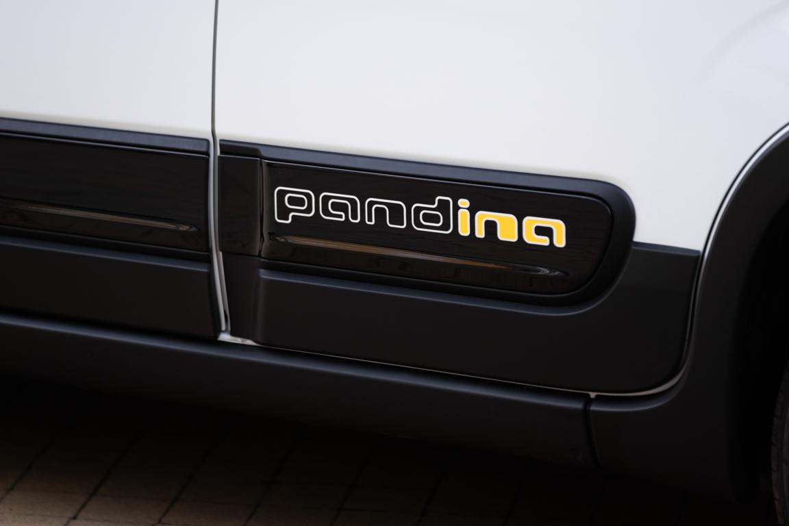 Pandina Particolare