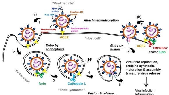Viritech
