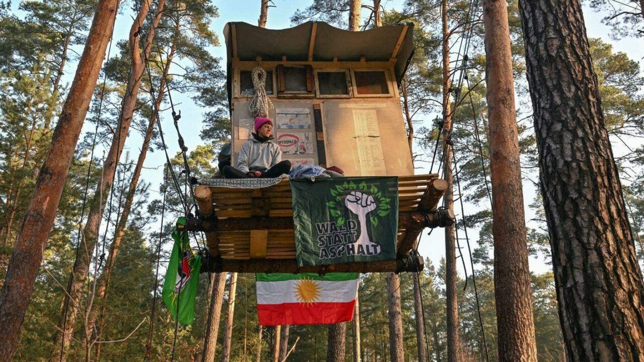 tesla foresta protesta