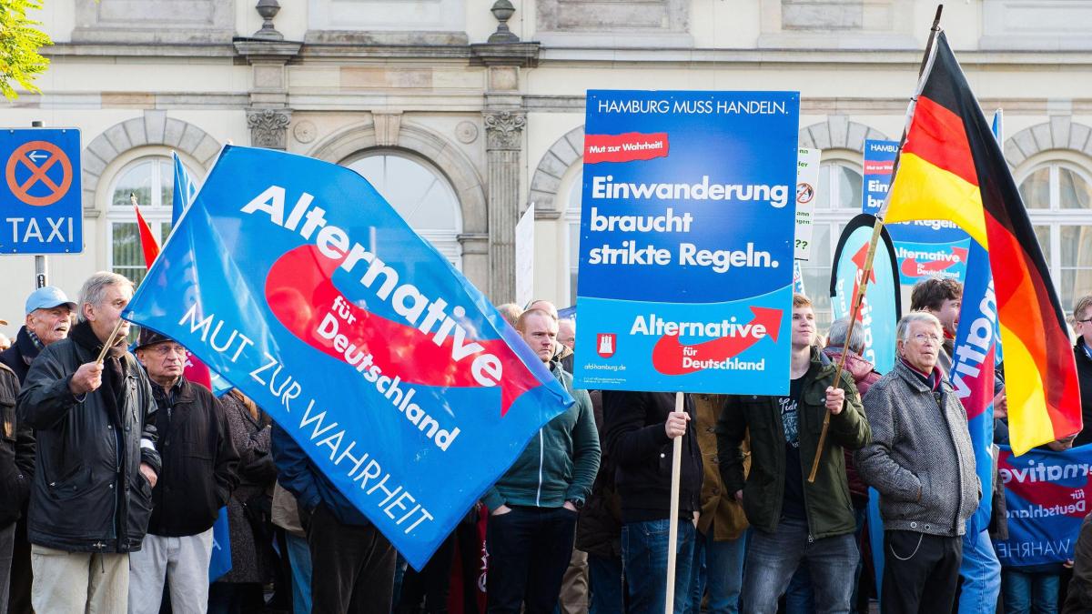 Elon Musk appoggia AfD