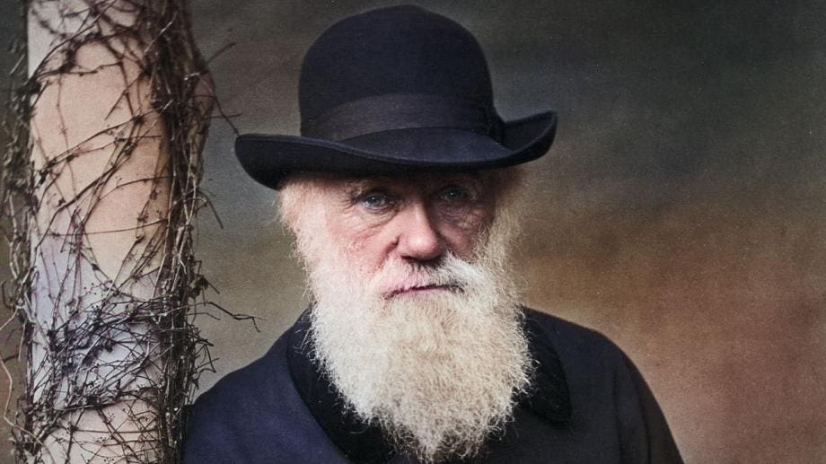 darwin