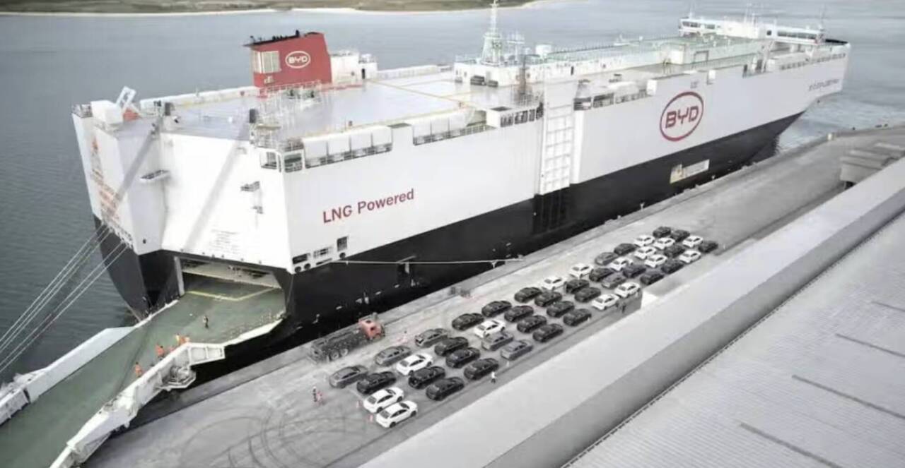 cargo byd