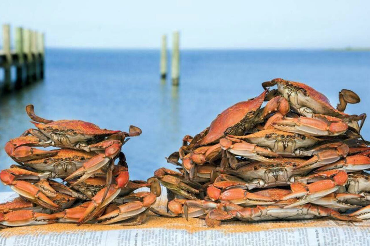 crostacei per le batterie
