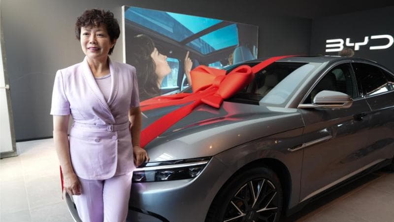 stella li byd