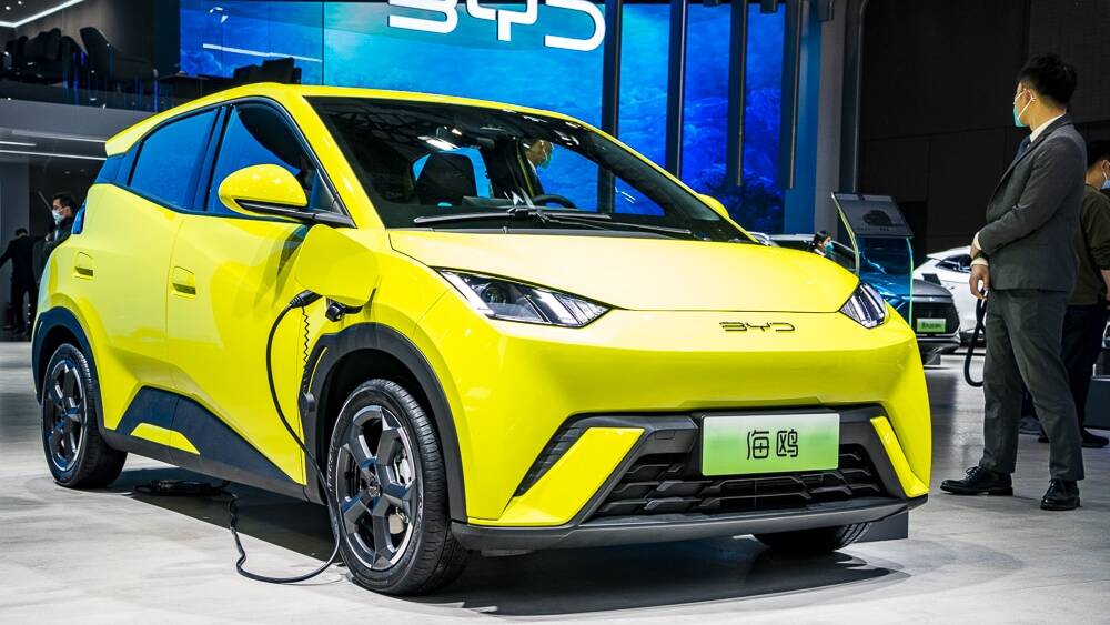 byd dolphin surf