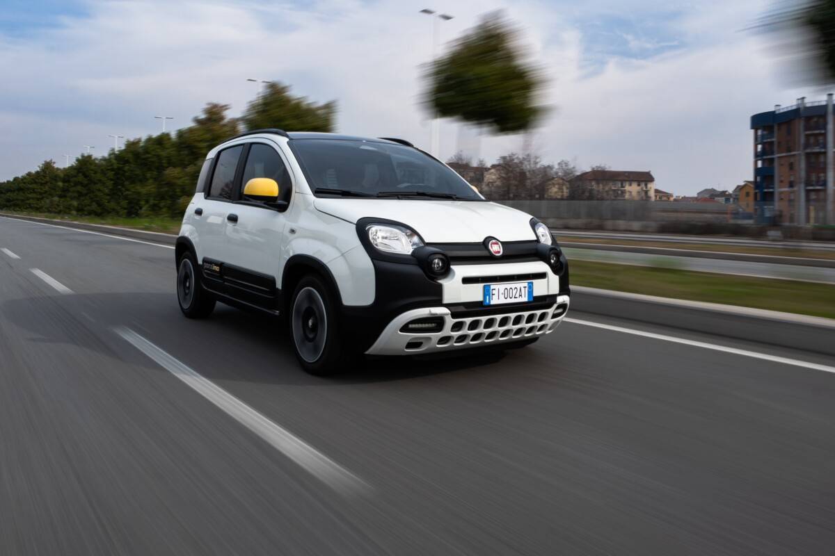 fiat pandina