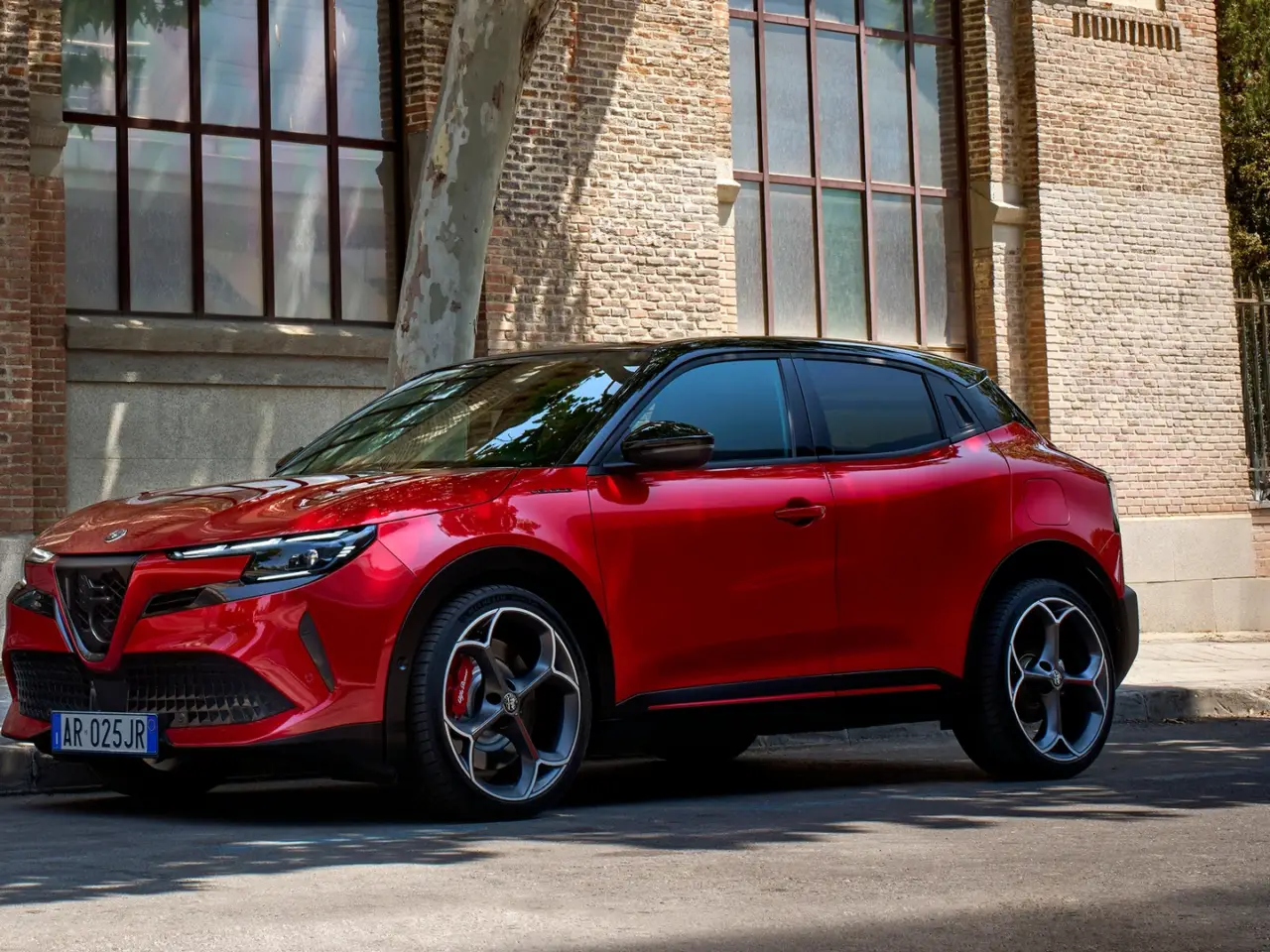 alfa romeo junior